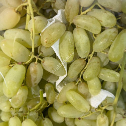 Виноград Дамские пальчики Узбекистан 0.5 кг