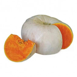 Тыква Самсон 1 кг