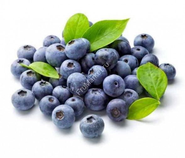 Свежая черника 0.5 кг Россия
