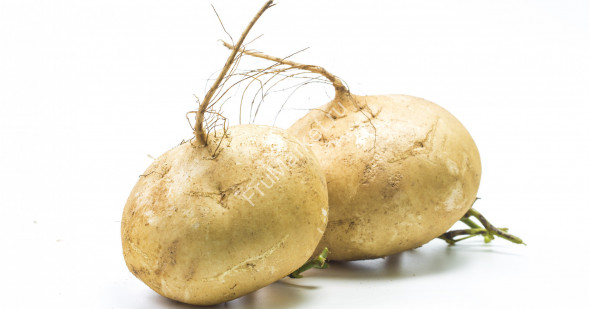 Репа белая 1 кг