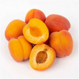 Абрикосы Узбекистан 1 кг