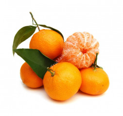 Мандарины Беби на ветке 1 кг