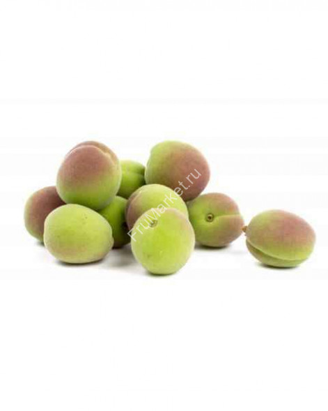 Абрикосы зеленые Россия 0.5 кг