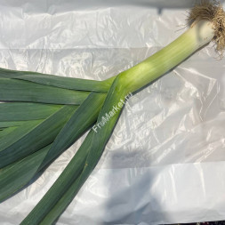 Лук Порей 0.5 кг