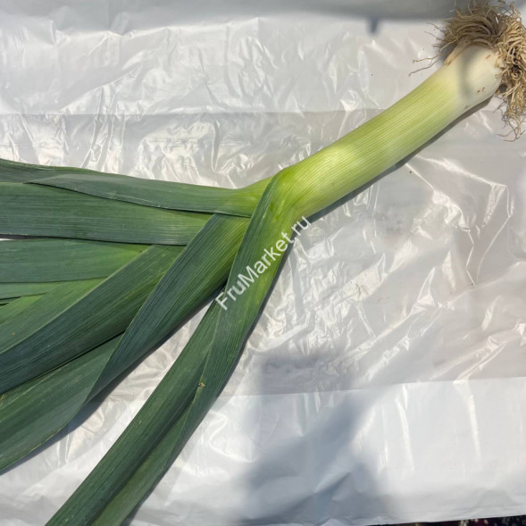 Лук Порей 0.5 кг