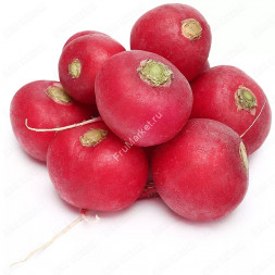 Редис красный 1 кг