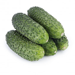 Огурцы Корнишоны 1 кг