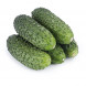 Огурцы Корнишоны 1 кг