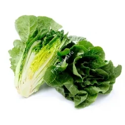 Салат Романо 0.5 кг