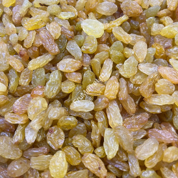 Изюм Голден Джамбо крупный Узбекистан 0.5 кг