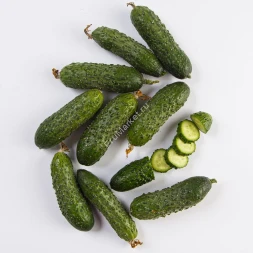 Огурцы Кураж 1 кг