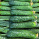 Огурцы Кураж 1 кг