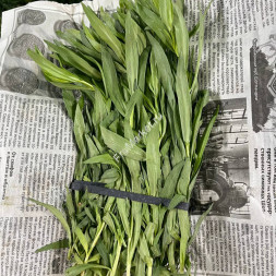 Тархун (Эстрагон) трава 1 кг