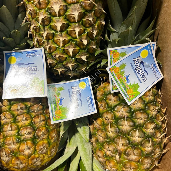 Ананас Коста-Рика 1 кг