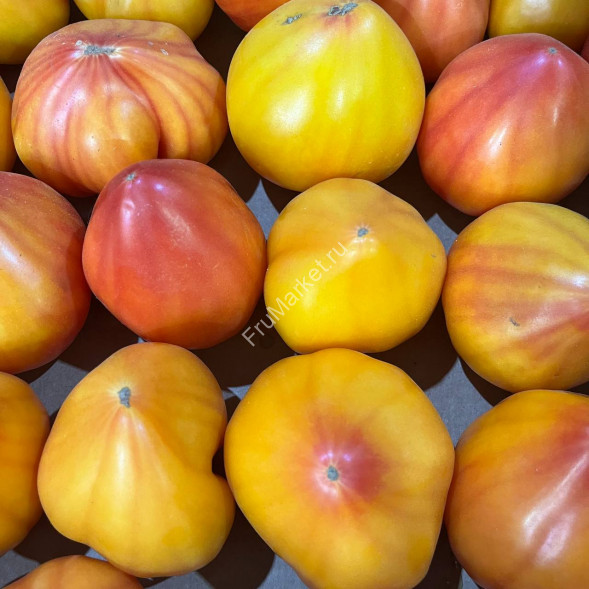 Помидоры Мадрид Беларусь 1 кг