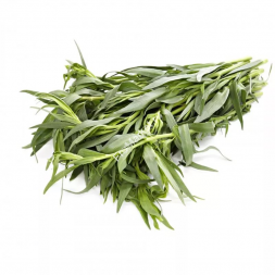 Тархун (Эстрагон) трава 0.5 кг