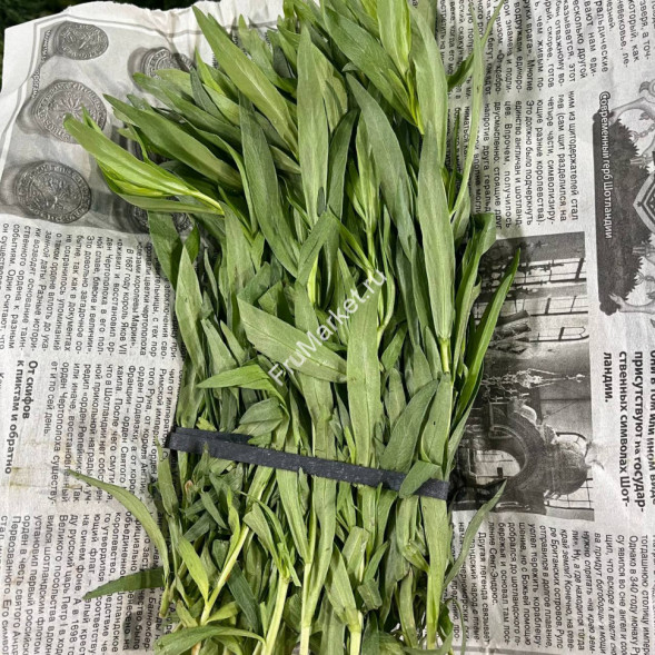 Тархун (Эстрагон) трава 0.5 кг