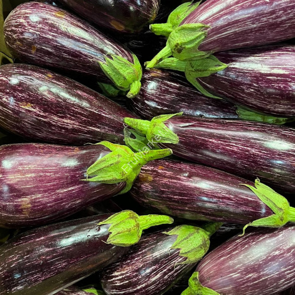 Баклажаны Зебра 1 кг