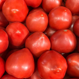 Помидоры Мохитос Россия 1 кг