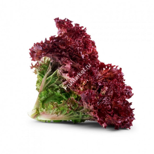 Салат Лоло Росса 1 кг