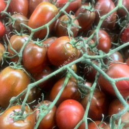 Помидоры Сливки Россия 1 кг