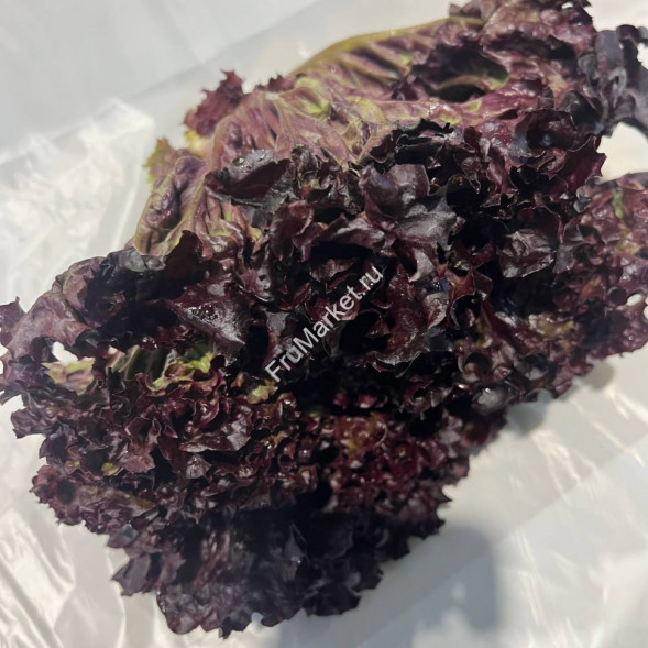 Салат Лоло Росса 0.5 кг