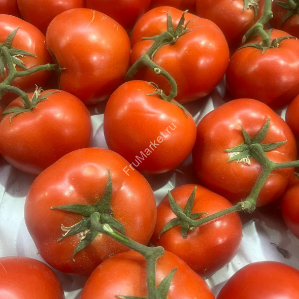 Помидоры Мохито на ветке Россия 1 кг
