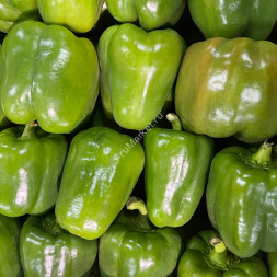 Болгарский перец Кубик зеленый 1 кг
