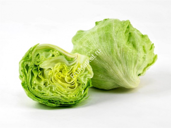 Салат айсберг 0.5 кг