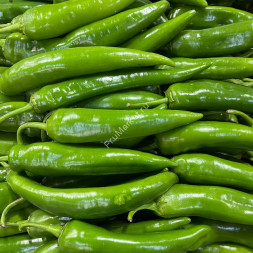 Зеленый острый перец Россия 1 кг