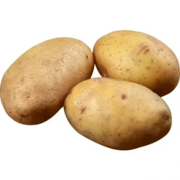 Картофель Королева Анна Россия 1 кг