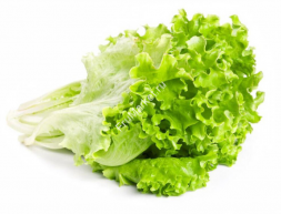 Листья салата 0.5 кг