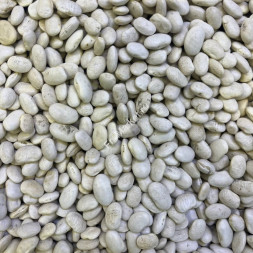 Фасоль белая Узбекистан 1 кг