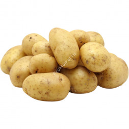 Картофель Гала белый 1 кг
