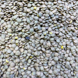 Чечевица Узбекистан 1 кг