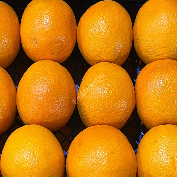 Апельсины Египет 0.5 кг