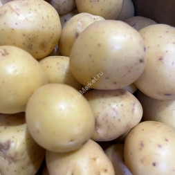 Картофель Бэби 1 кг