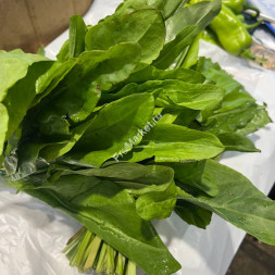 Щавель 0.5 кг