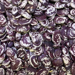 Фасоль крупная Узбекистан 1 кг