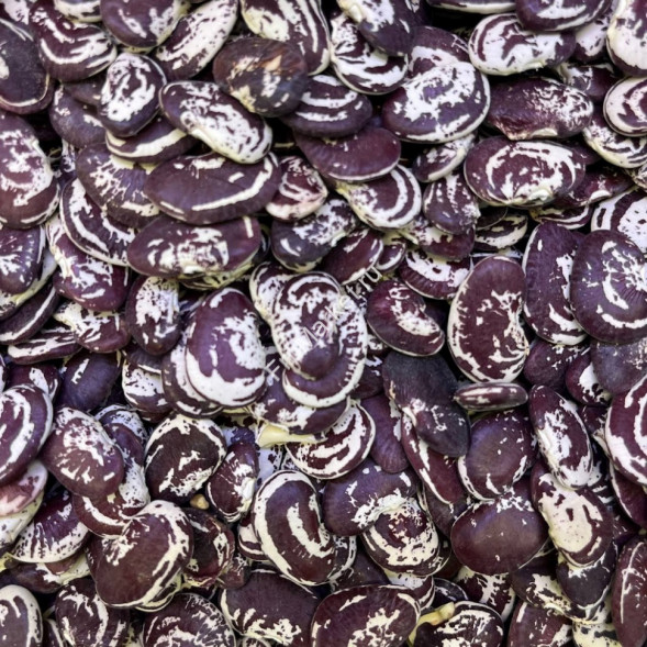 Фасоль крупная Узбекистан 1 кг