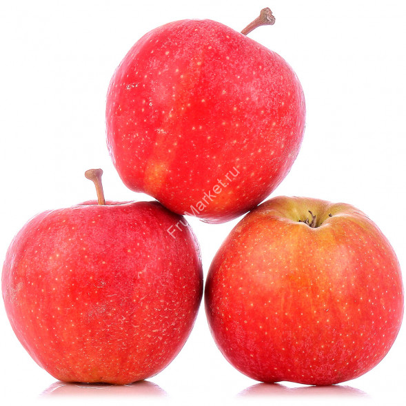 Яблоки Галла Азербайджан 1 кг