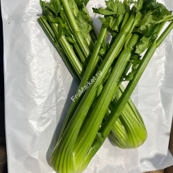 Стебель сельдерея 1кг