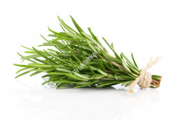 Розмарин 1 кг