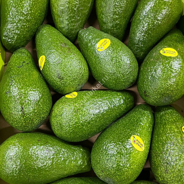 Авокадо Перу 1 кг