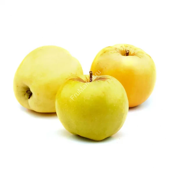 Яблоки Антоновка Россия 1 кг