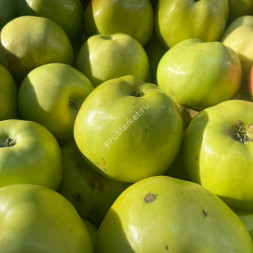 Яблоки Антоновка Россия 1 кг