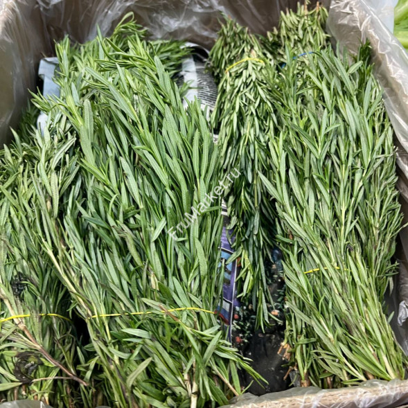 Розмарин 0.5 кг