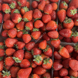 Свежая клубника 1 кг