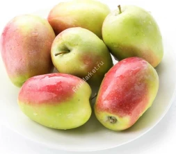 Яблоки Синап Крым 1 кг