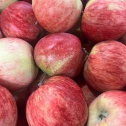 Яблоки Штрифель 1 кг